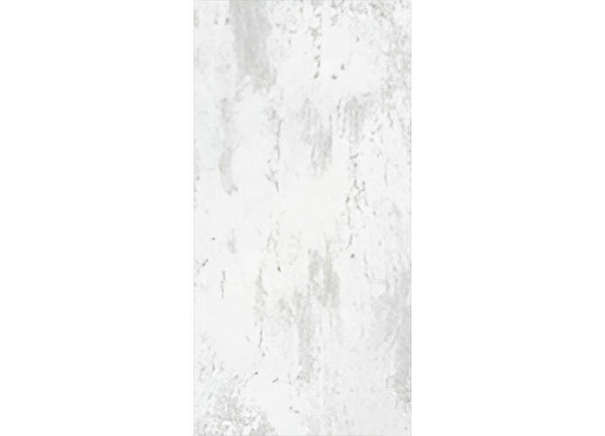 Керамогранит NT Ceramic NTT99609M Metallic White 60x120