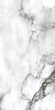 Керамогранит Primavera Acacia Polished PR221 60x120