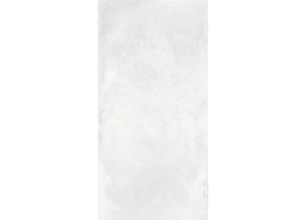 Керамогранит NT Ceramic NTT99604M Cemento Bianco 60х120