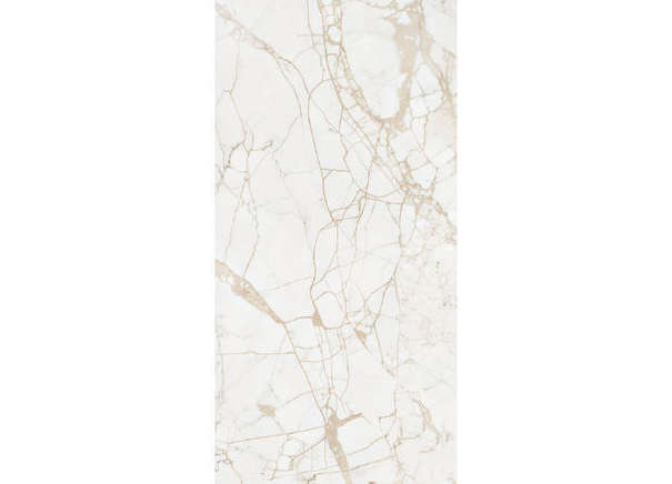 Керамогранит NT Ceramic NTT99519M Impero Grey Carving 60x120