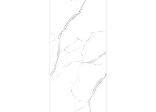 Керамогранит NT Ceramic NTT99512M Statuario Ultra White 60x120