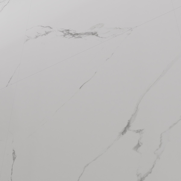 Керамогранит Royce Carrara Marmo Matt R_NR1002 60x60