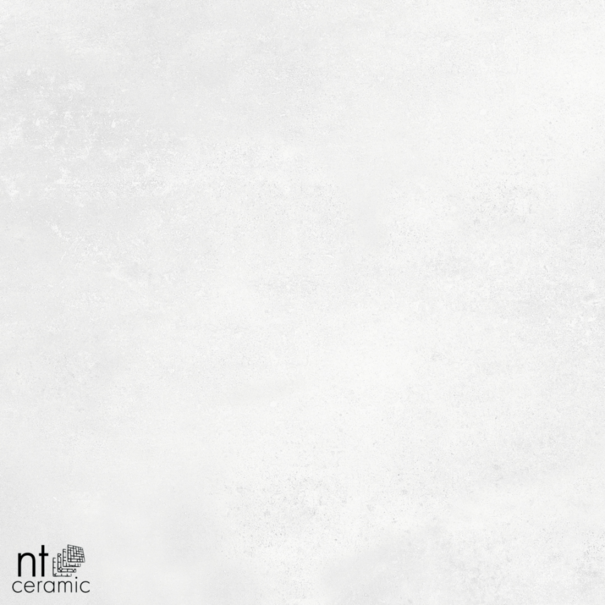 Керамогранит NT Ceramic NTT996040M Cemento Bianco 60х60