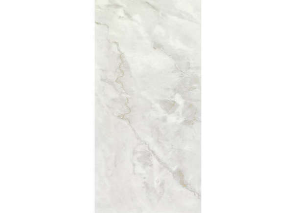 Керамогранит Neodom N20538 Marble Ornato Wave Carving 60x120