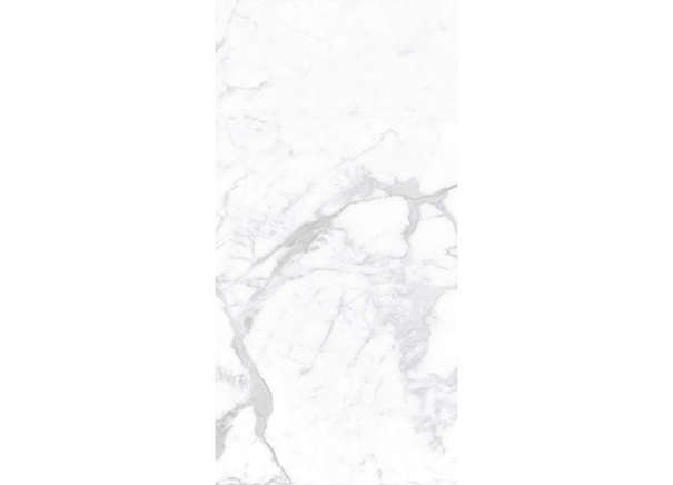 Керамогранит Staro Palacio Proven Polished 60x120