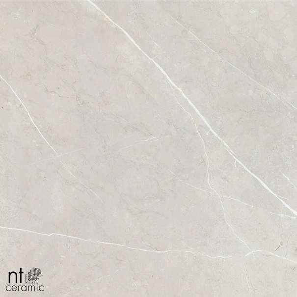 Керамогранит NT Ceramic BB6NTT9101P 60x60