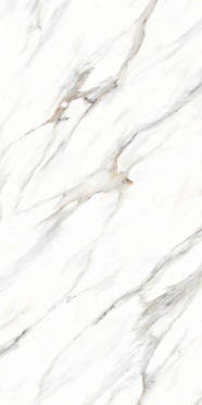 Керамогранит Primavera Ayton Brown Carving CR203 60x120