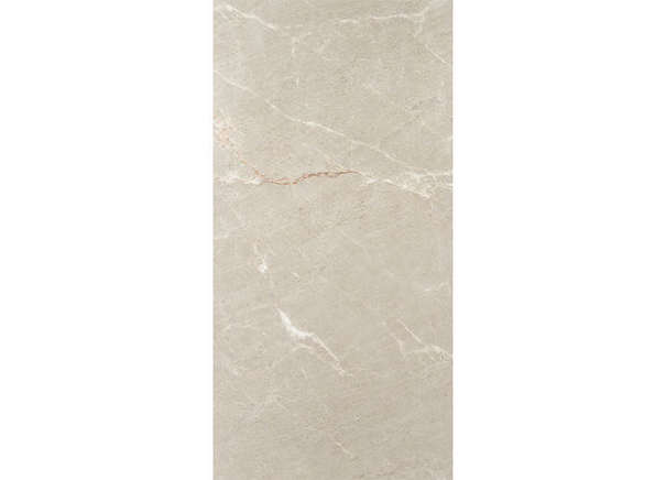 Керамогранит Neodom N20499 Stone Persian Beige Tm 80x160