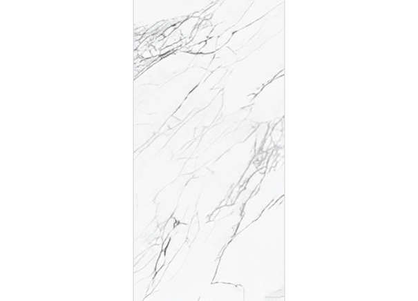 Керамогранит NT Ceramic NTT99527С Artic statuario Carving 60x120