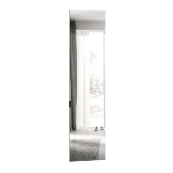 ЛД 931.804.000 Сити-Гранд Фасад дверь 60*230 с зеркалом (Дуб Золотой)