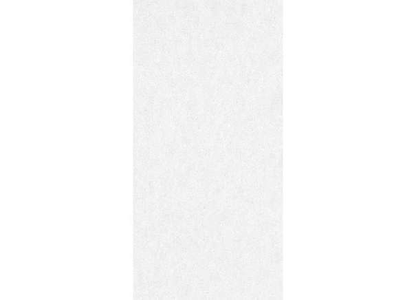 Керамогранит Delacora D12038M Absolute Ice 60x120