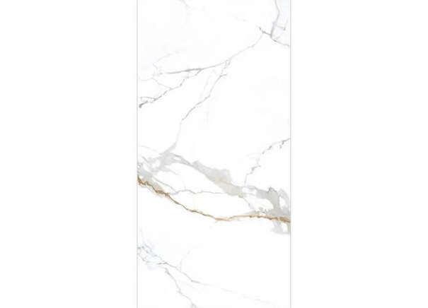 Керамогранит NT Ceramic NTT3000M Carrara Gold mat 120x240