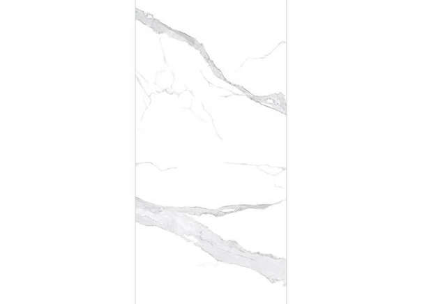 Керамогранит NT Ceramic NTT3008P Bianco Statuario 120x240