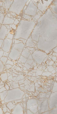 Керамогранит Primavera Golden Grey PR212 60x120