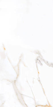 Керамогранит Primavera Regal Carara PR203 60x120