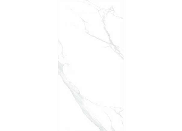 Керамогранит NT Ceramic NTT9106P Statuario 60x120