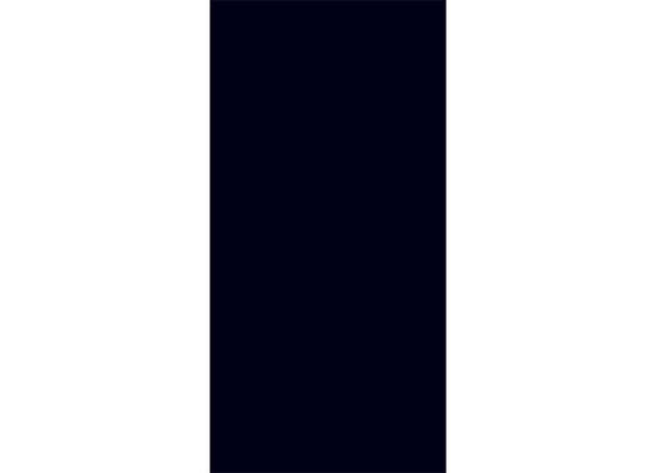 Керамогранит LCM 60120DMS99HG Domines Black 60x120