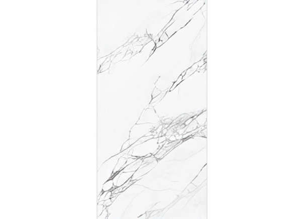 Керамогранит NT Ceramic NTT99528P Artic statuario Glossy 60x120
