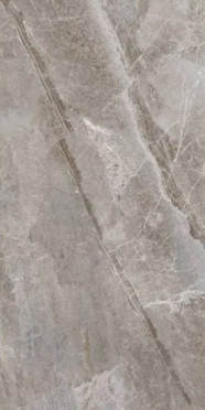 Керамогранит Primavera Essence Grey PR209 60x120