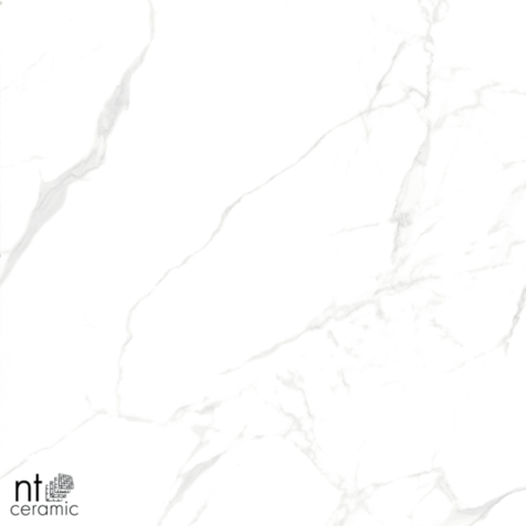 Керамогранит NT Ceramic NTT996070M Callacata carving 60x60