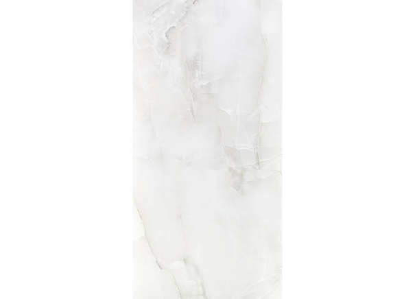 Керамогранит Neodom N20375 Onyx Onix Bianco Satin 60x120