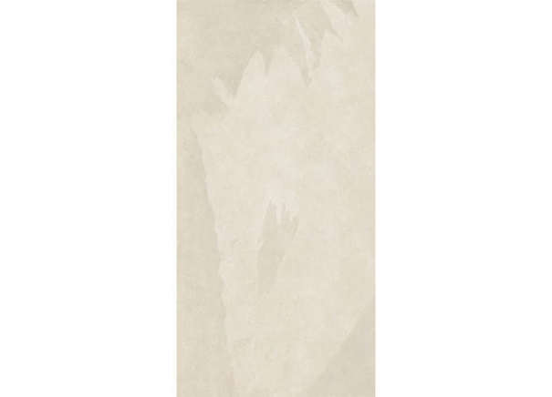 Керамогранит Coliseum Ardesia White / Ардезия Уайт 60х120