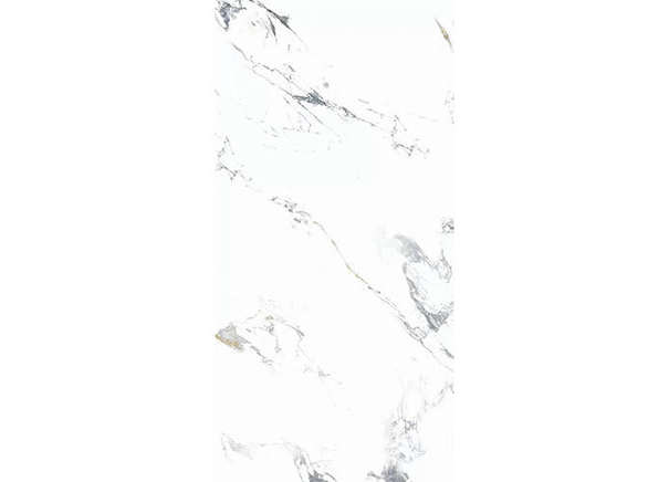 Керамогранит NT Ceramic NTT3003P Arabescato 120x240