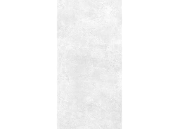 Керамогранит NT Ceramic NTT99600M Zett Bianco 60x120