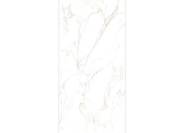 Керамогранит NT Ceramic NTT99526M Marble Extra Endless 60x120