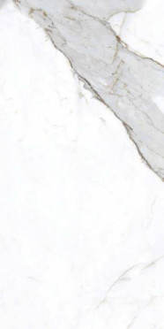 Керамогранит Primavera Dario NR201 60x120