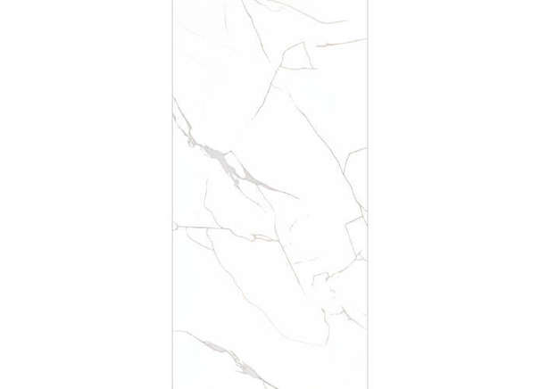 Керамогранит NT Ceramic NTT99607M Callacata carving 60x120