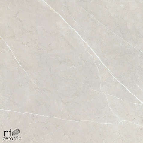 Керамогранит NT Ceramic BB6NTT9101P 60x60