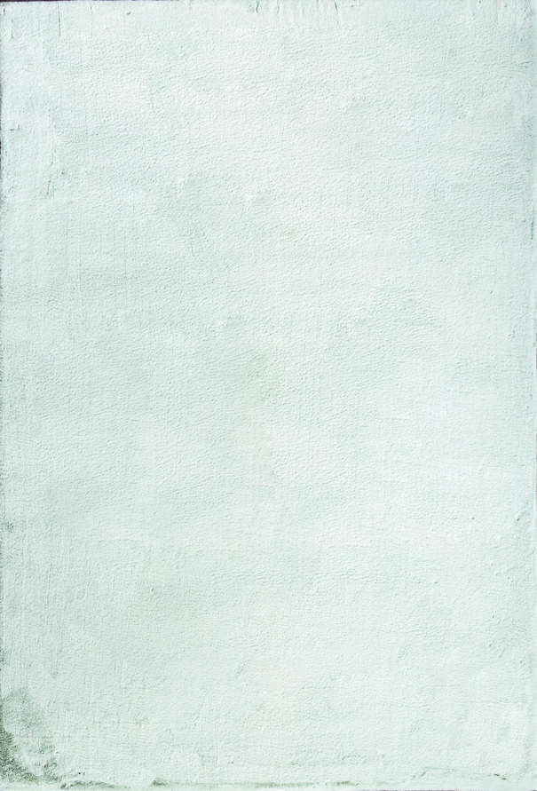 Китайский ковер из полиэстера «RABBIT» X23