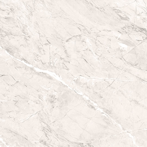 Керамогранит Primavera Пантир TP66M17 60x60