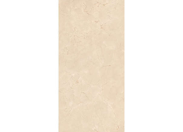 Керамогранит Neodom N20480 Marble Crema Marfil Polished 60x120