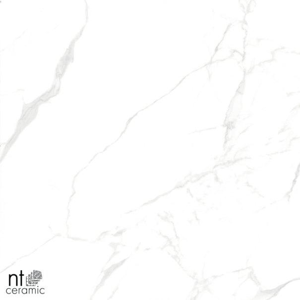 Керамогранит NT Ceramic NTT996070M Callacata carving 60x60