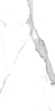 Керамогранит Primavera Salvatore PR207 60x120